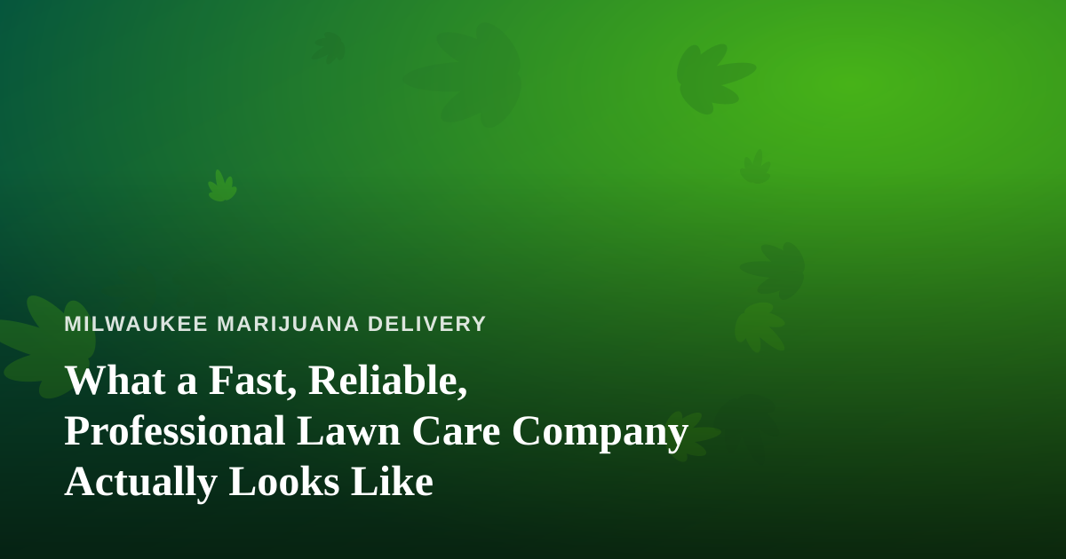 What a Fast, Reliable, Professional Lawn Care Company Actually Looks Like